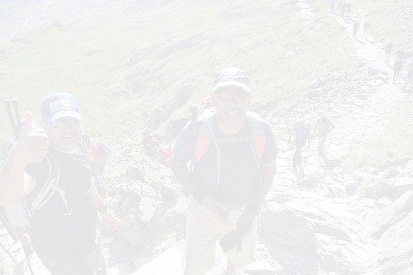 Snowdon Ranger Snowdon Ranger